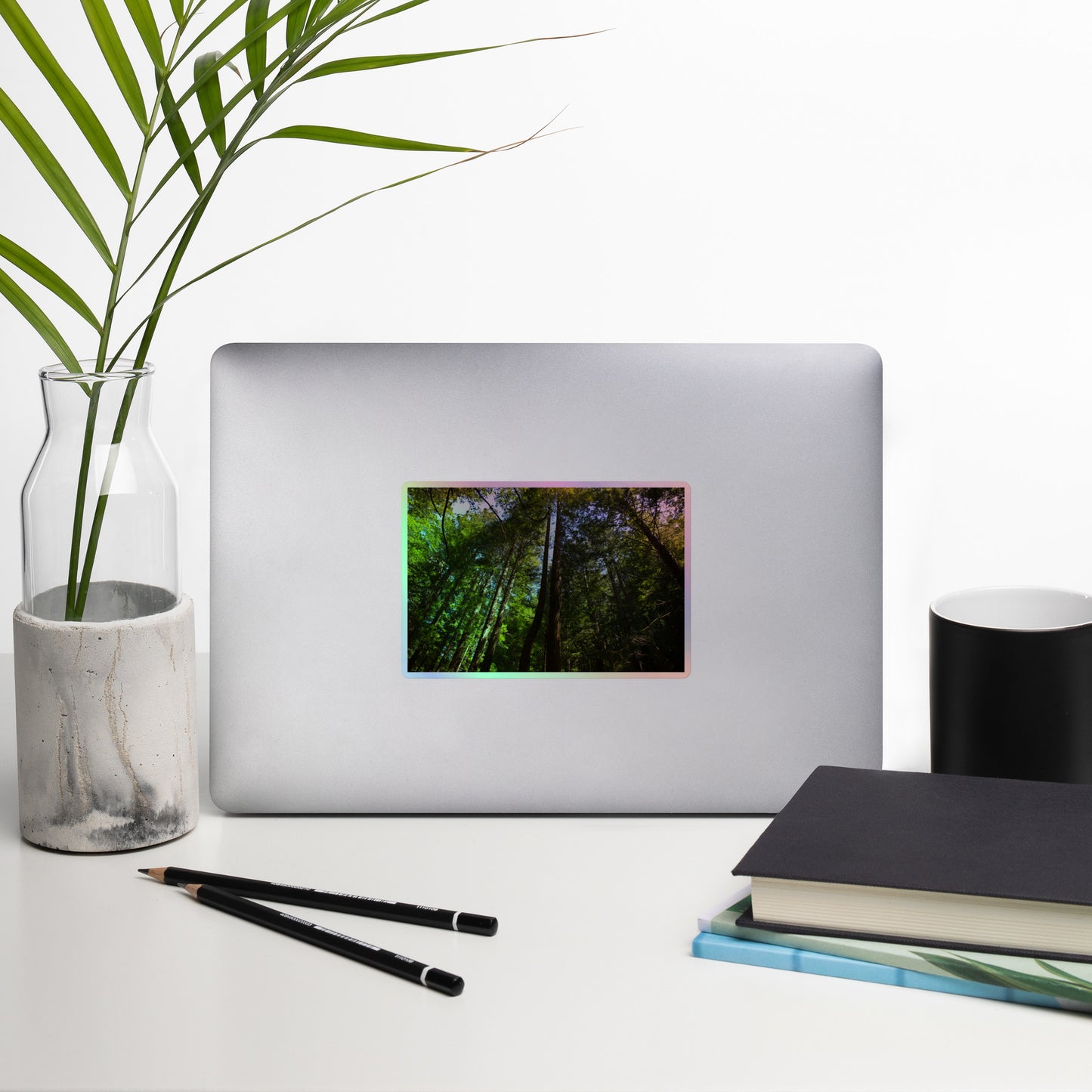 Lifestyle photo of a rectangular holographic sticker with an image looking up at a line of redwood trees with bright green leaves and reddish-brown bark, placed on a laptop with desk supplies nearby.