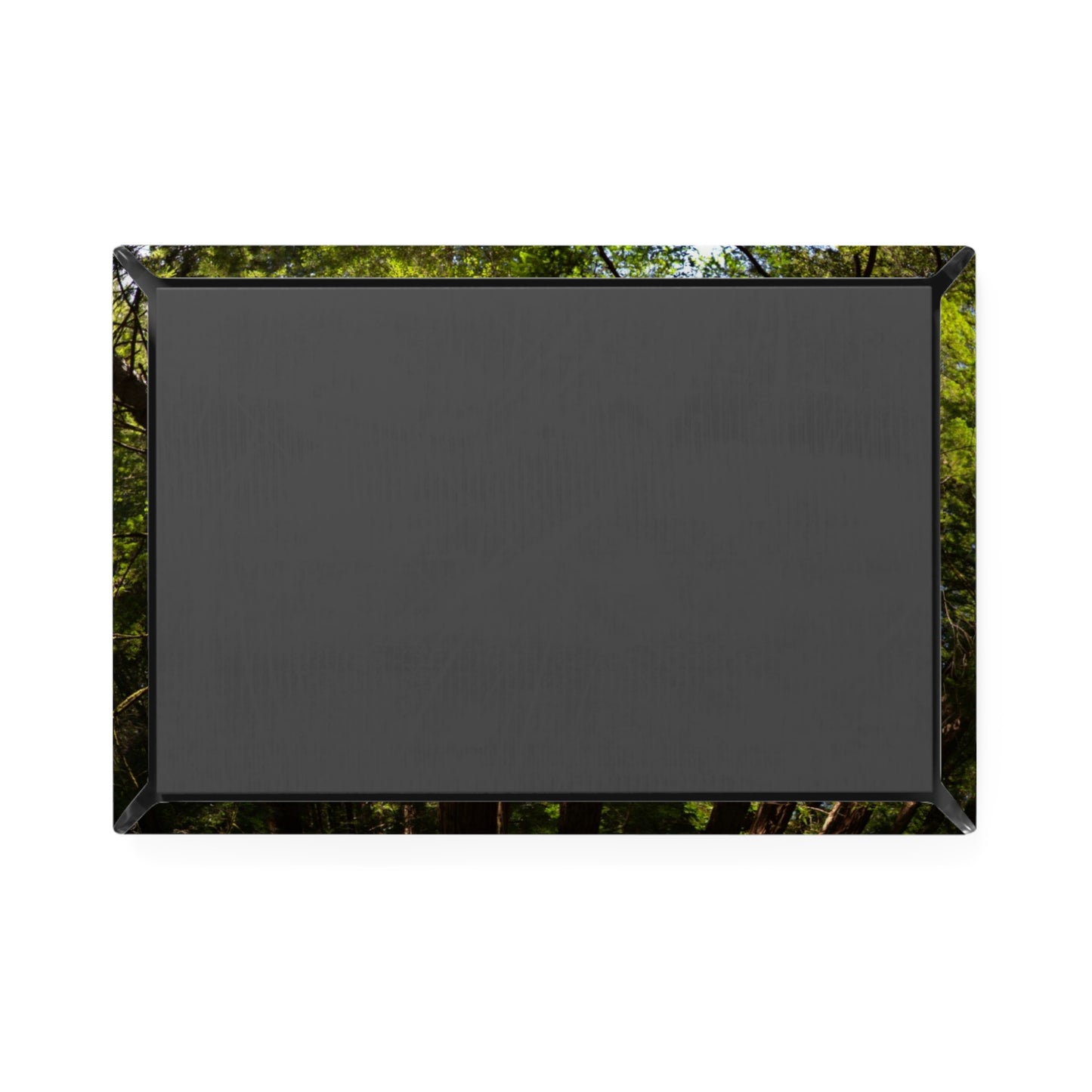 Back view of a rectangular button magnet.