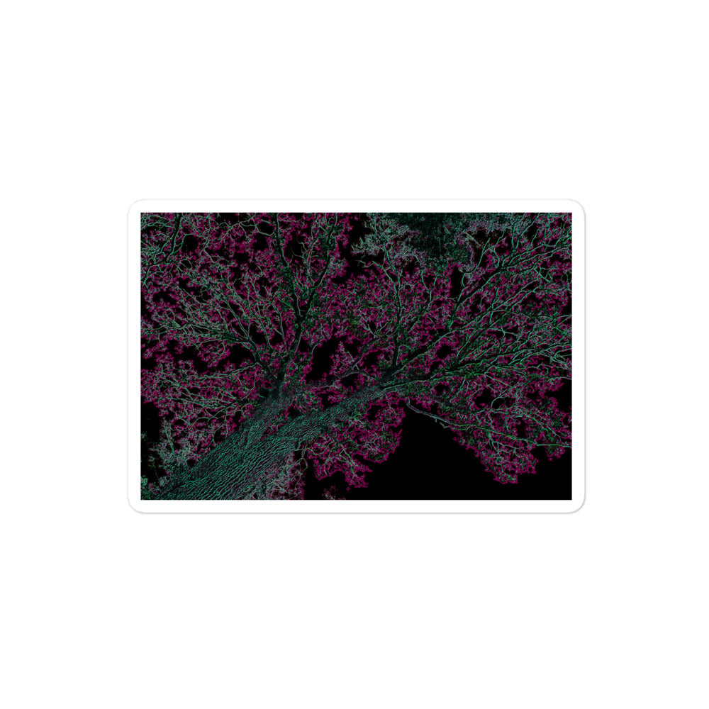 A medium rectangular vinyl sticker with an image of a neon pink and turquoise tree design with lightning like features.