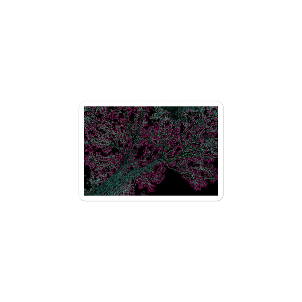 A small rectangular vinyl sticker with an image of a neon pink and turquoise tree design with lightning like features.