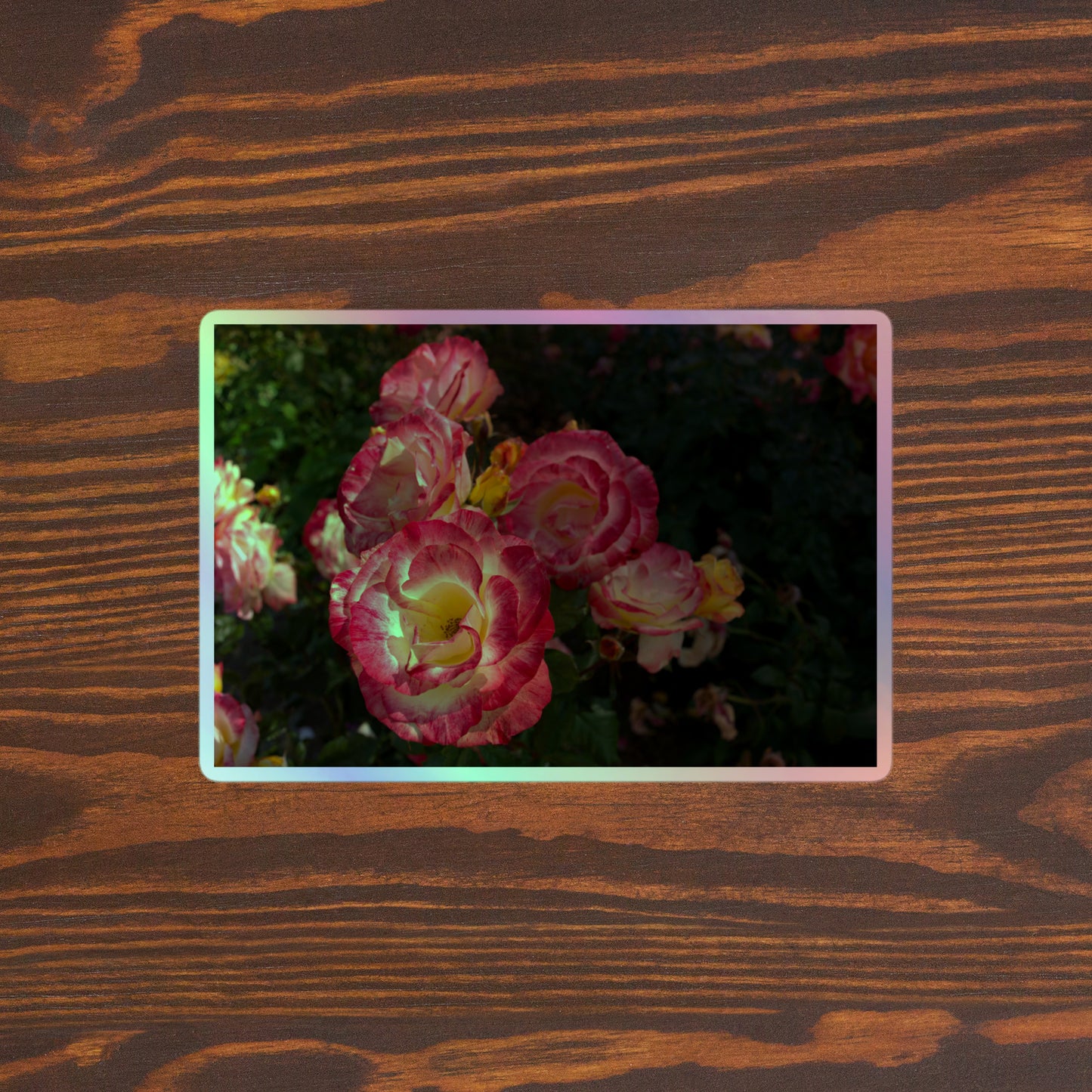 Lifestyle photo of a rectangular holographic sticker with an image of pink, yellow and white rose blooms with dark green leaves, placed on a brown wooden table surface.