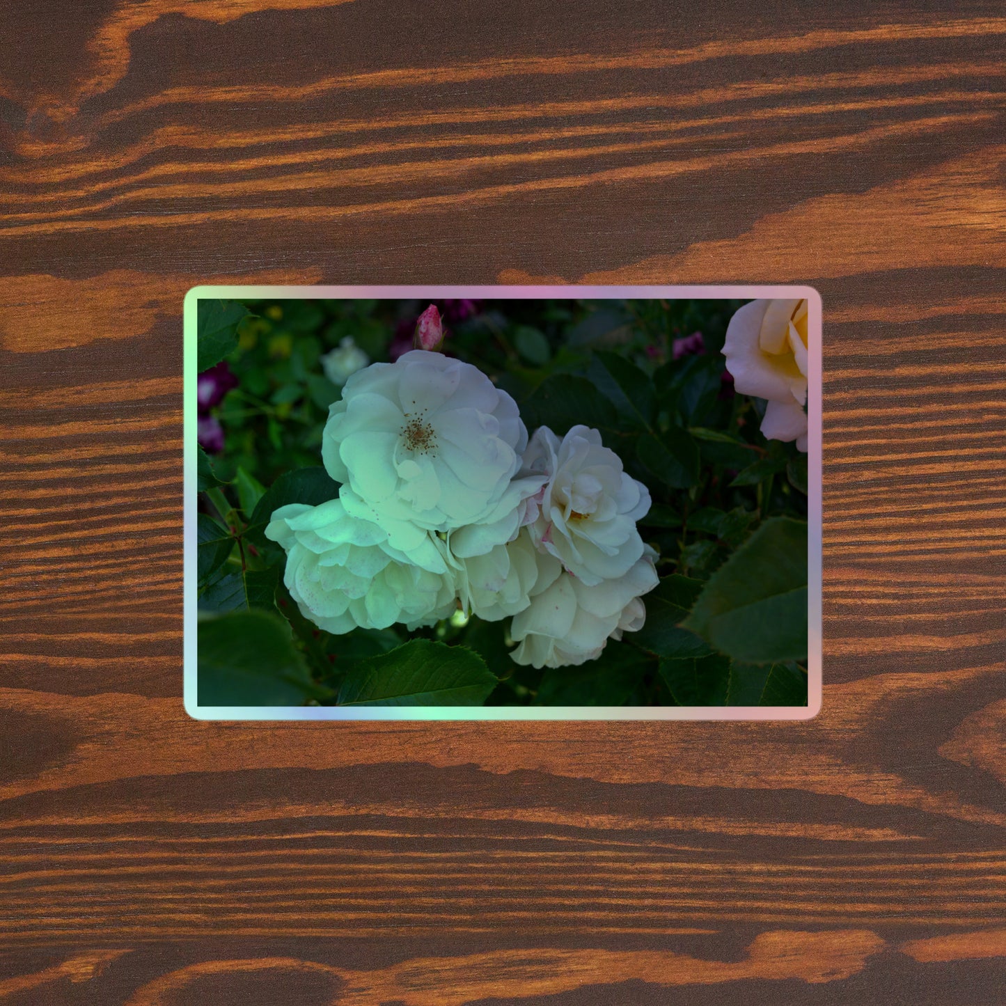 Lifestyle photo of a rectangular holographic sticker with an image of a cluster of white roses with dark green leaves, placed on a brown wooden table surface.