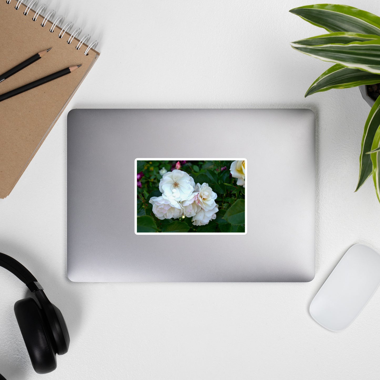 Lifestyle photo of a rectangular vinyl sticker with an image of white roses among dark green leaves, placed on the outside of a laptop.