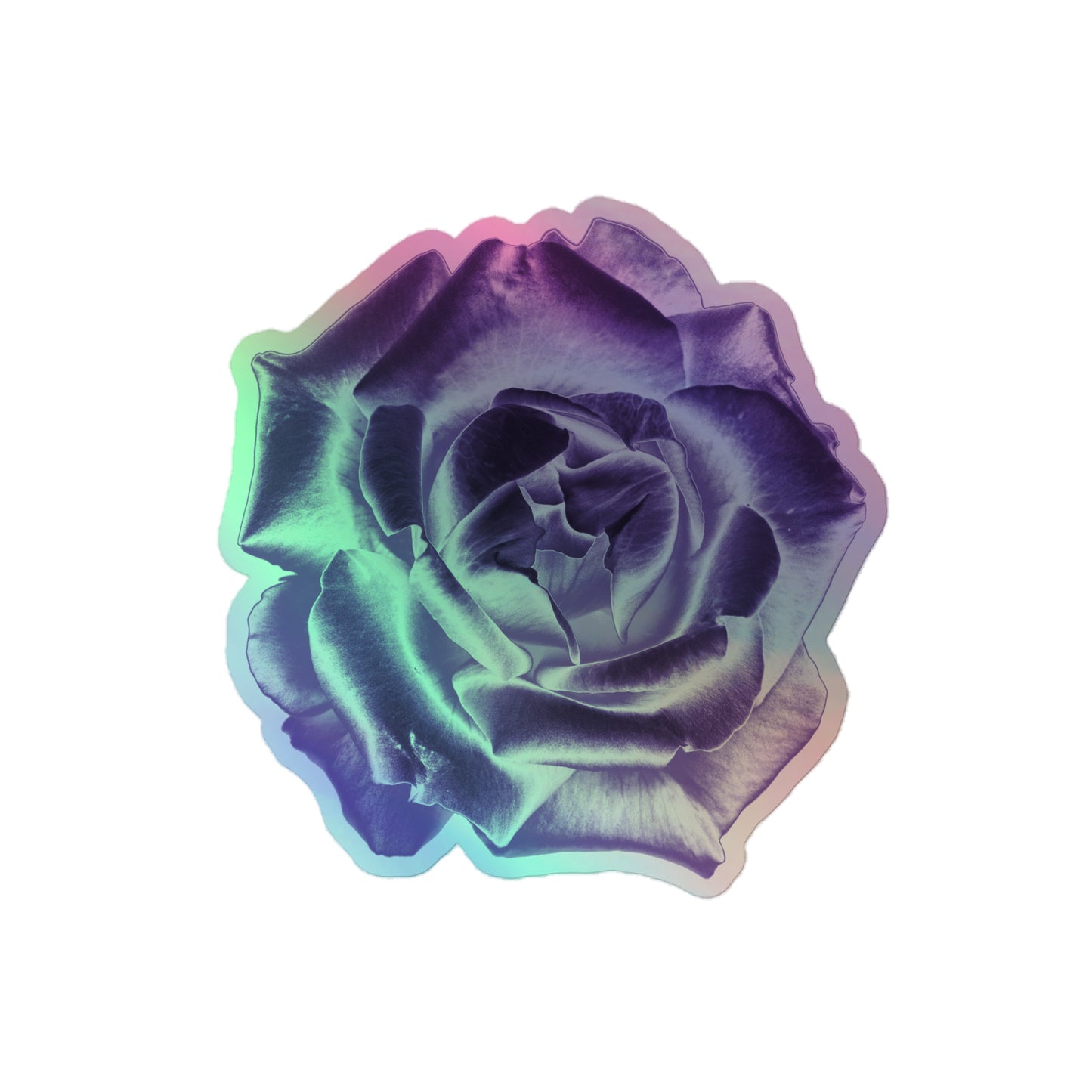A medium kiss-cut holographic sticker with an image of a reflective purple rose design.