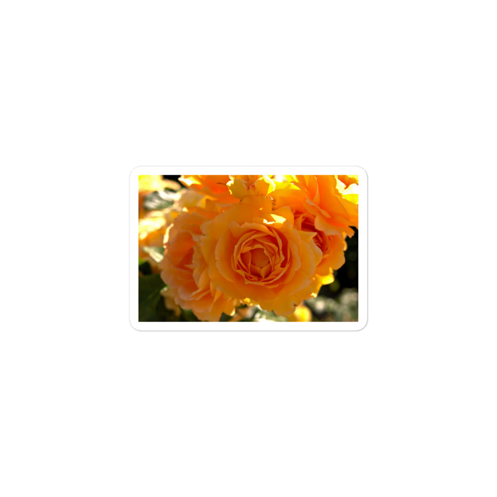 A small rectangular vinyl sticker with an image of orange rose blooms.