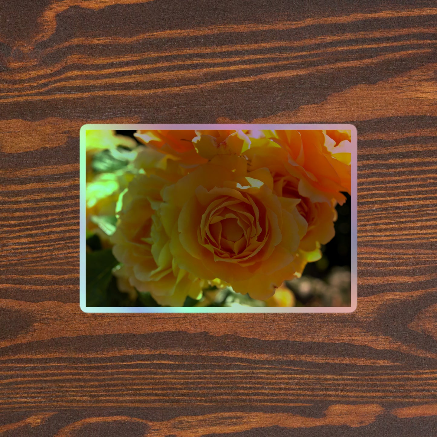 Lifestyle photo of a rectangular holographic sticker with an image of bright orange rose blooms in the sunlight, placed on a brown wooden table surface.