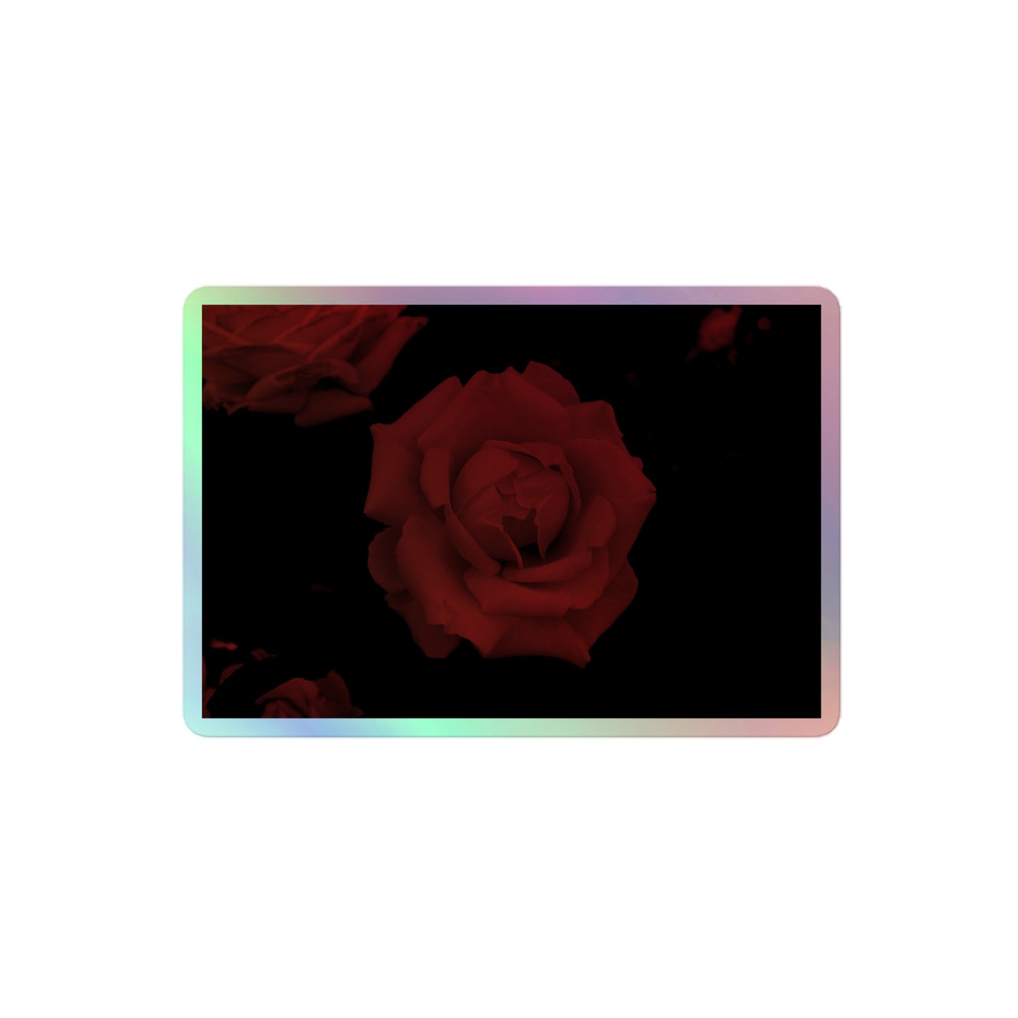 A medium rectangular holographic sticker with an image of a red vivid rose design.