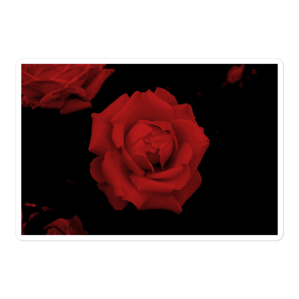 A large rectangular vinyl sticker with an image of a vivid red rose design.