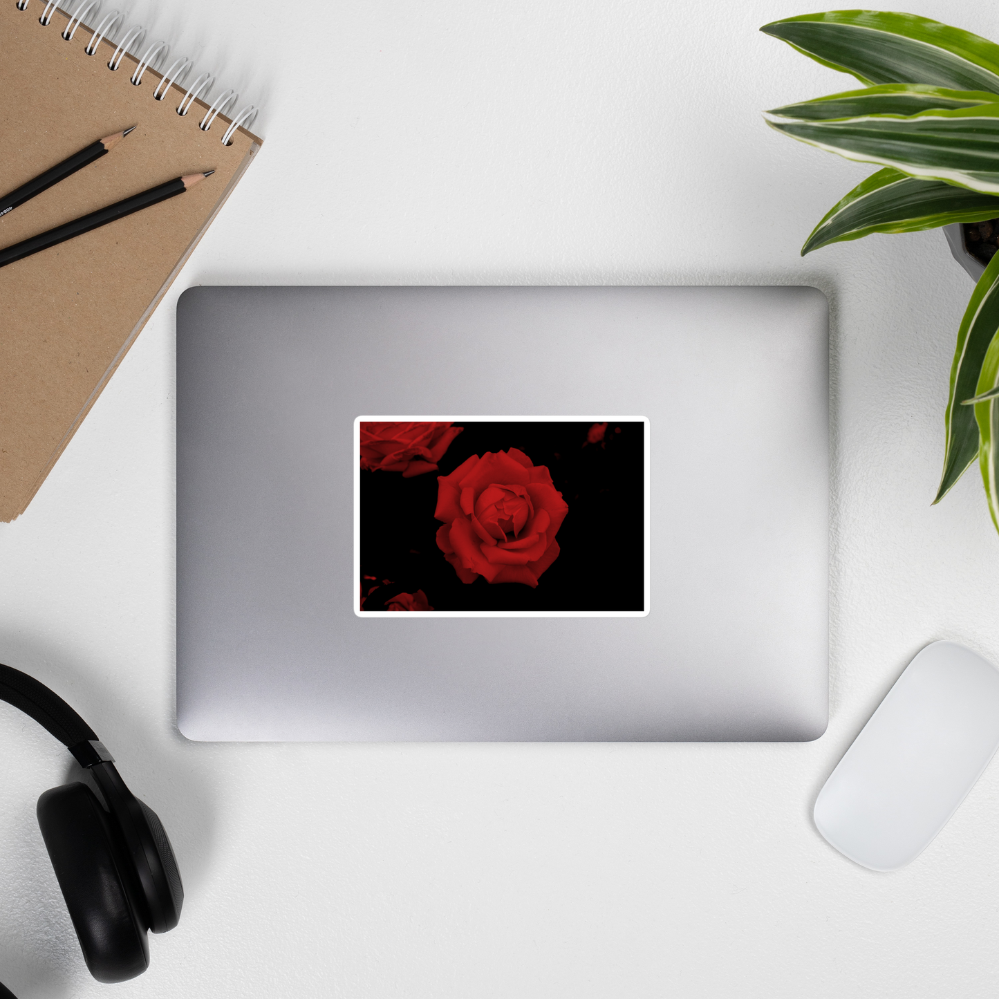 Lifestyle photo of a rectangular vinyl sticker with an image of a vivid red rose design, placed on the outside of a laptop.