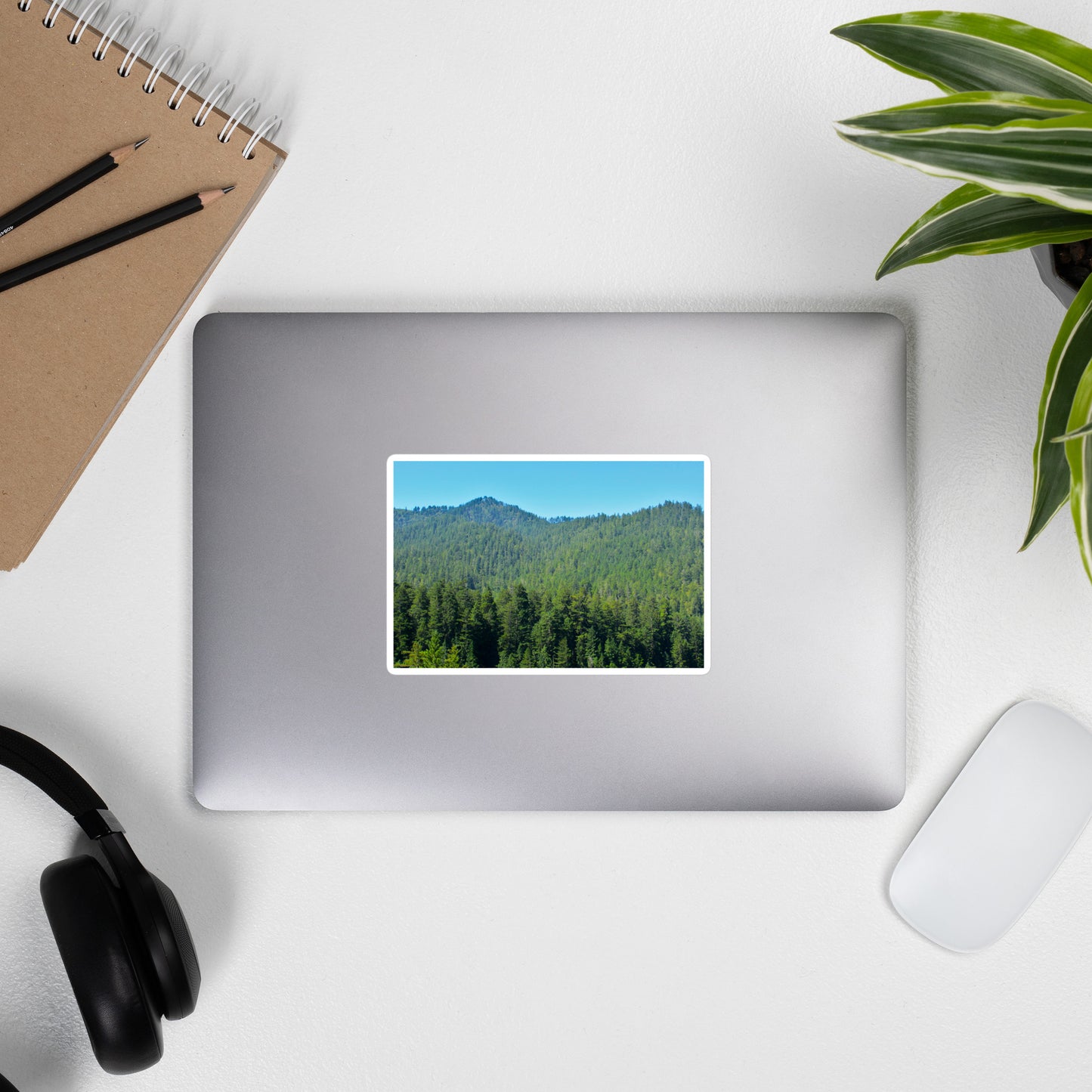 Lifestyle photo of a rectangular vinyl sticker with an image of mountain landscape with redwood trees and blue sky, placed on the outside of a laptop.