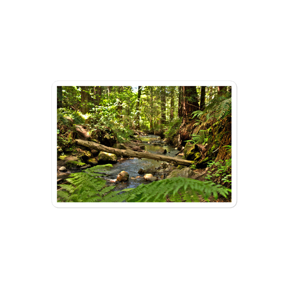 A medium rectangular vinyl sticker with an image of a creek in a redwood forest with ferns.