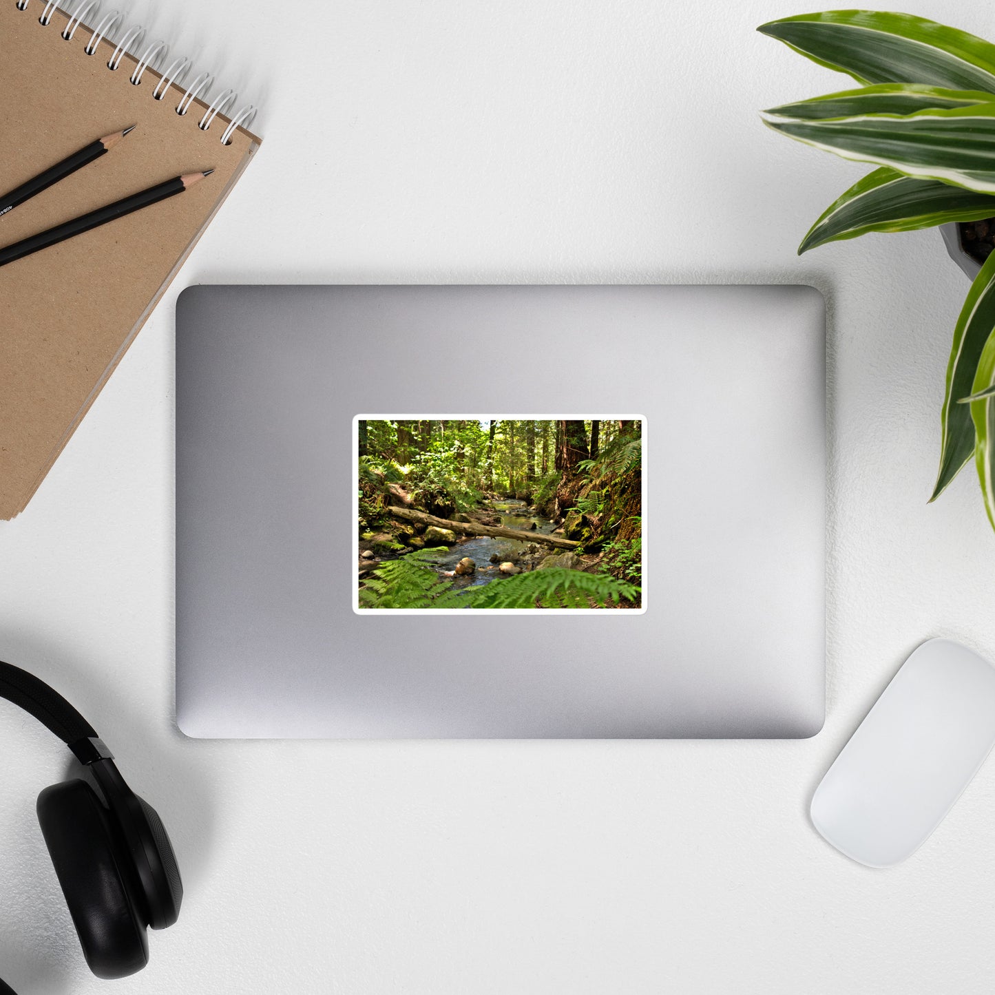 Lifestyle photo of a rectangular vinyl sticker with an image of a creek in a redwood forest with ferns, placed on the outside of a laptop.
