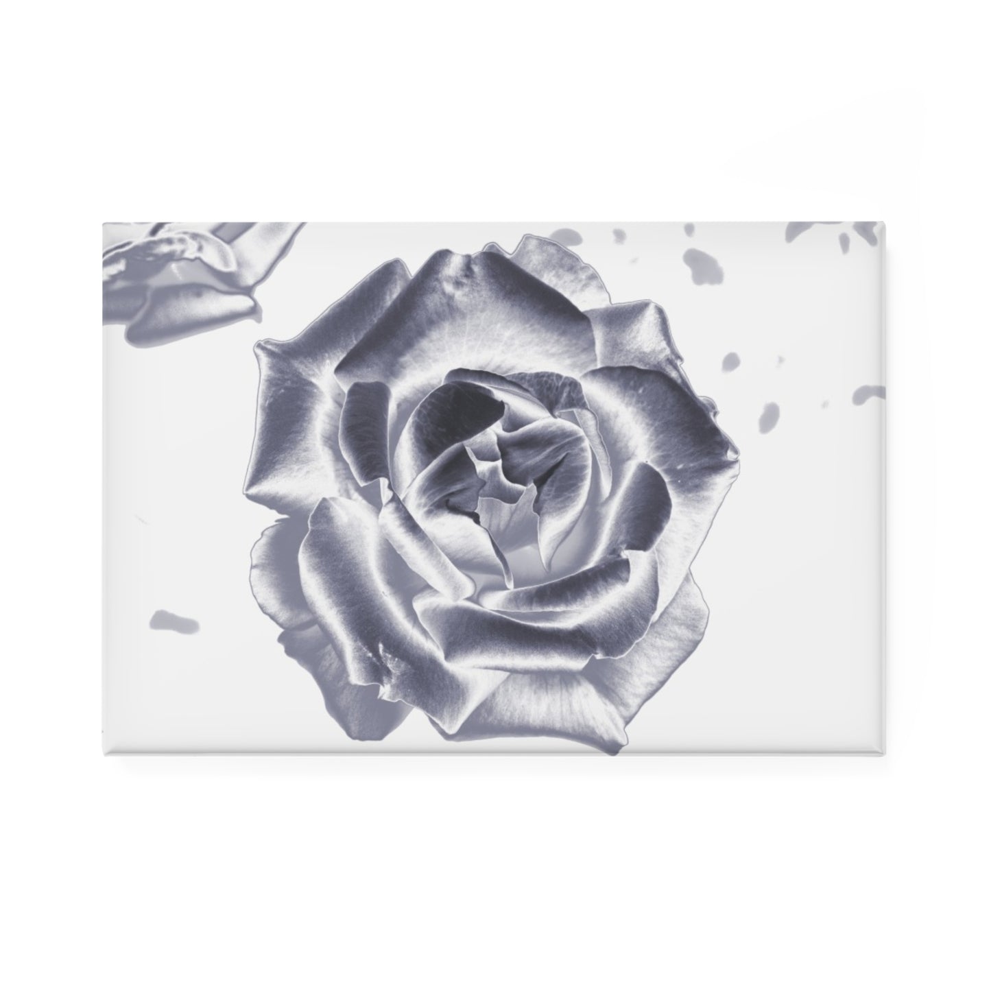 A rectangular button magnet with an image of a silver reflective rose design.