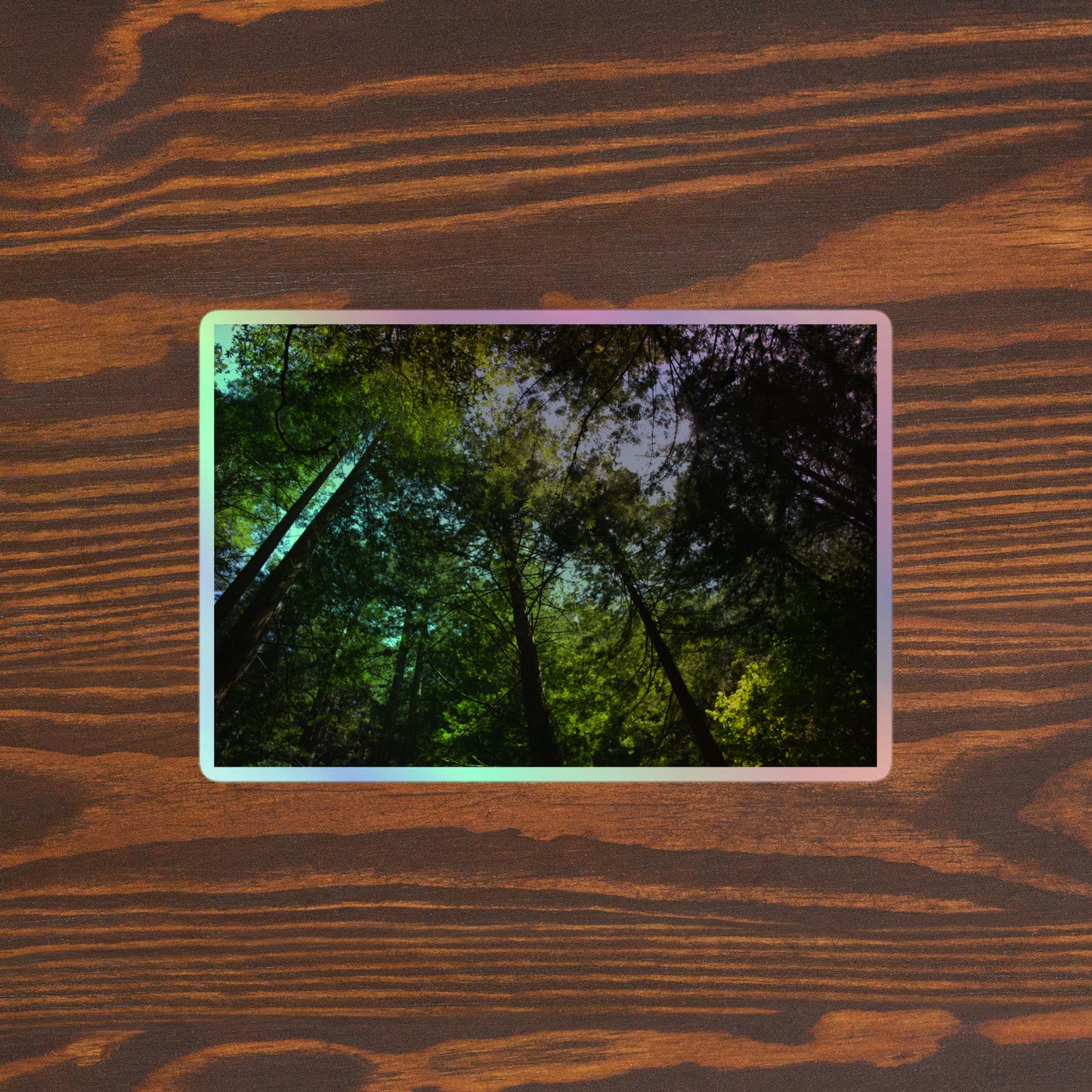 Lifestyle photo of a rectangular holographic sticker with an image of blue sky and a circle of redwood trees as seen from below, placed on a brown wooden table surface.