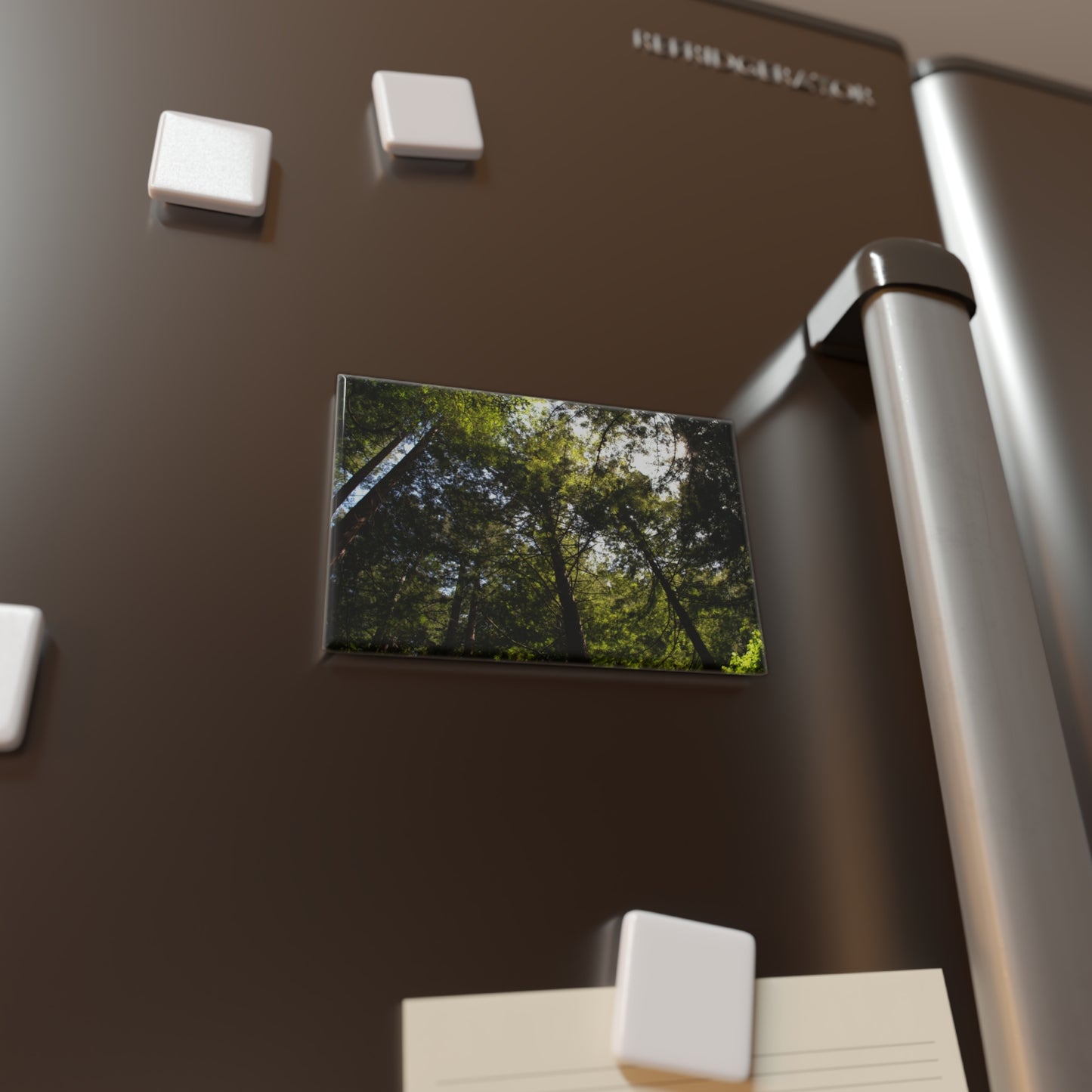 Lifestyle photo of a rectangular button magnet featuring a shot looking upward at a redwood grove with sunlight filtering through the trees, placed on a fridge.