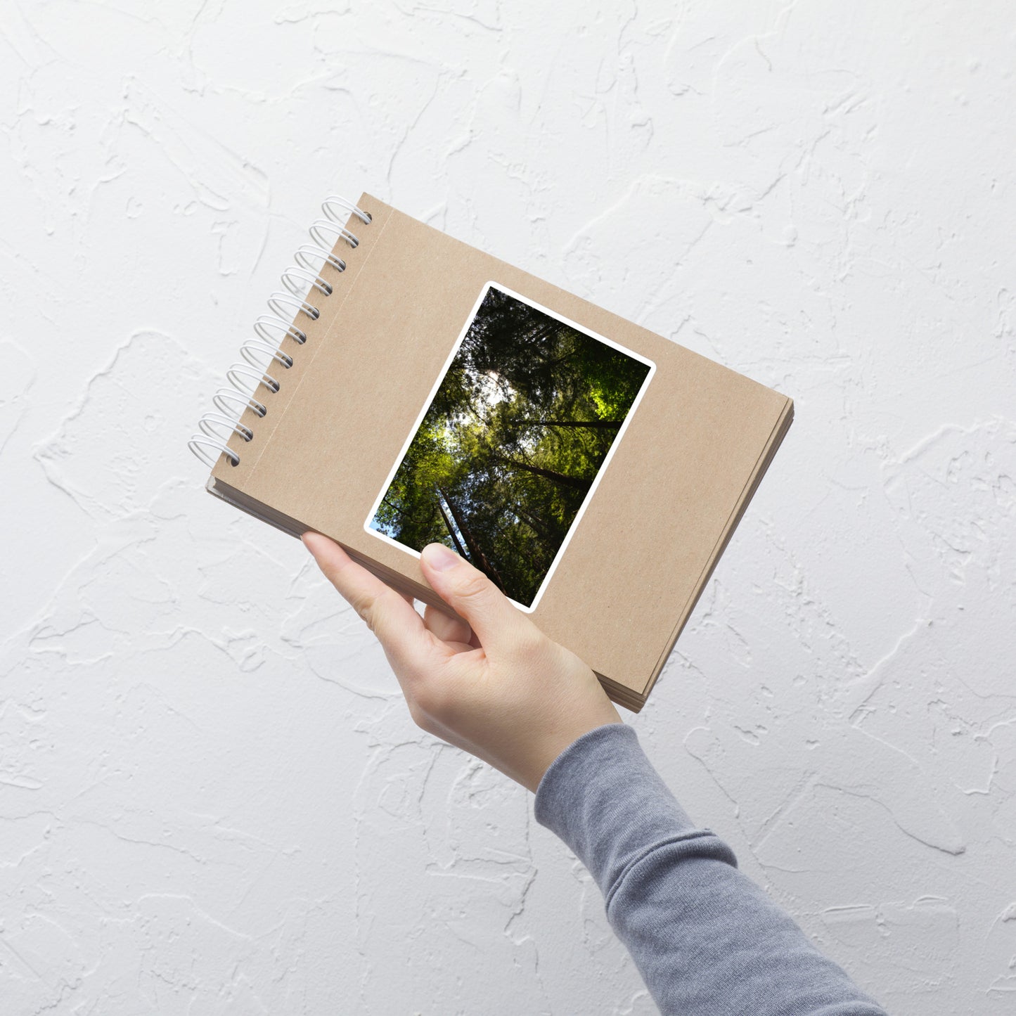 Lifestyle photo of a rectangular vinyl sticker with an image of a circle of redwood trees as seen from below, placed on a small notepad.