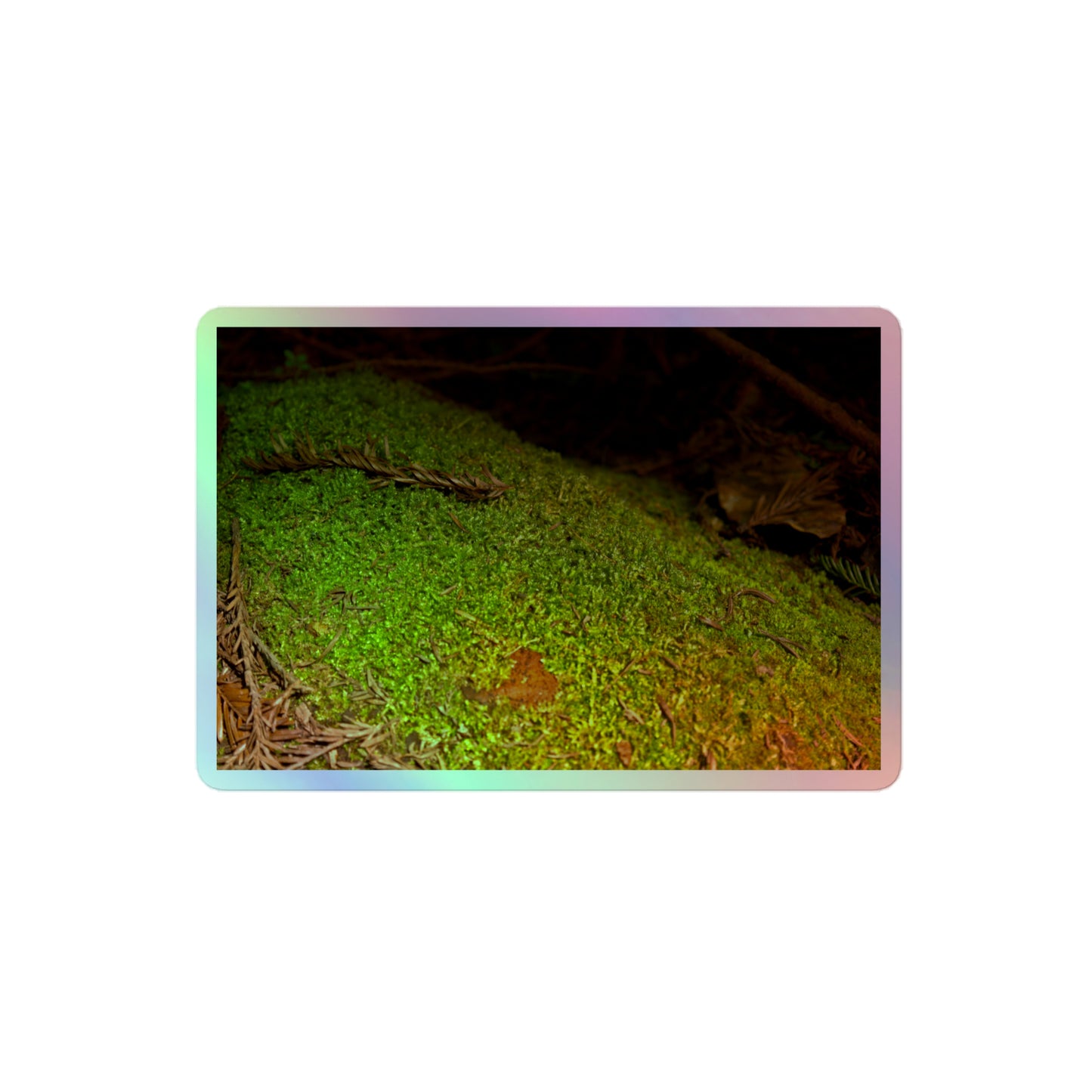 A medium rectangular holographic sticker with an image of a layer of bright green moss on a fallen tree with redwood needles nearby.