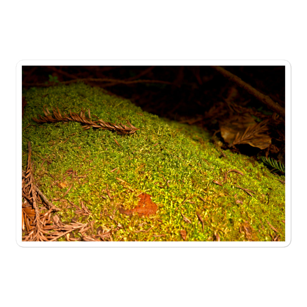 A large rectangular vinyl sticker with an image of green moss on a fallen tree.
