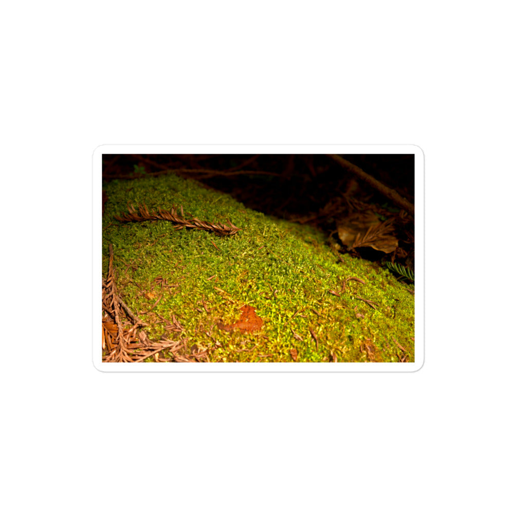 A medium rectangular vinyl sticker with an image of green moss on a fallen tree.