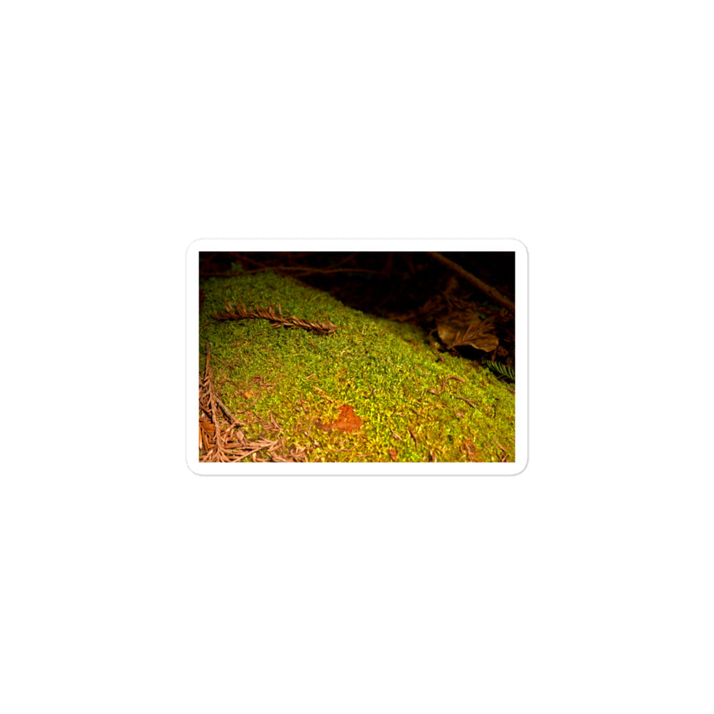 A small rectangular vinyl sticker with an image of green moss on a fallen tree.