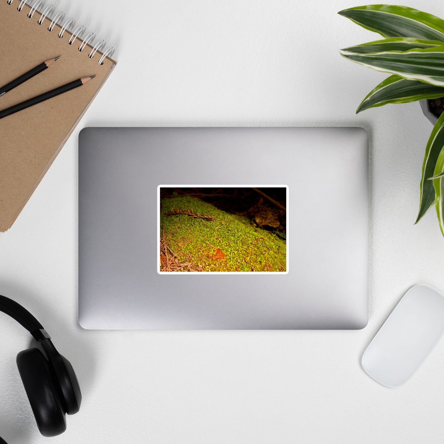 Lifestyle photo of a rectangular vinyl sticker with an image of green moss on a fallen tree, placed on the outside of a laptop.