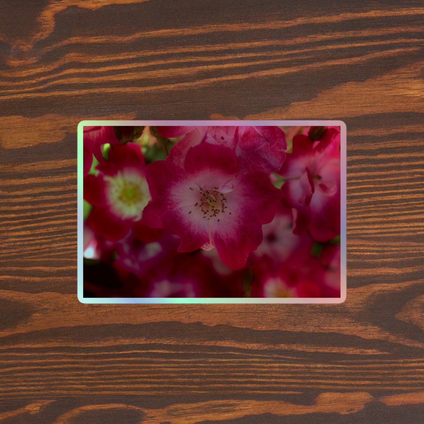 Lifestyle photo of a rectangular holographic sticker with an image of pink rose blooms with white centers, placed on a brown wooden table surface.