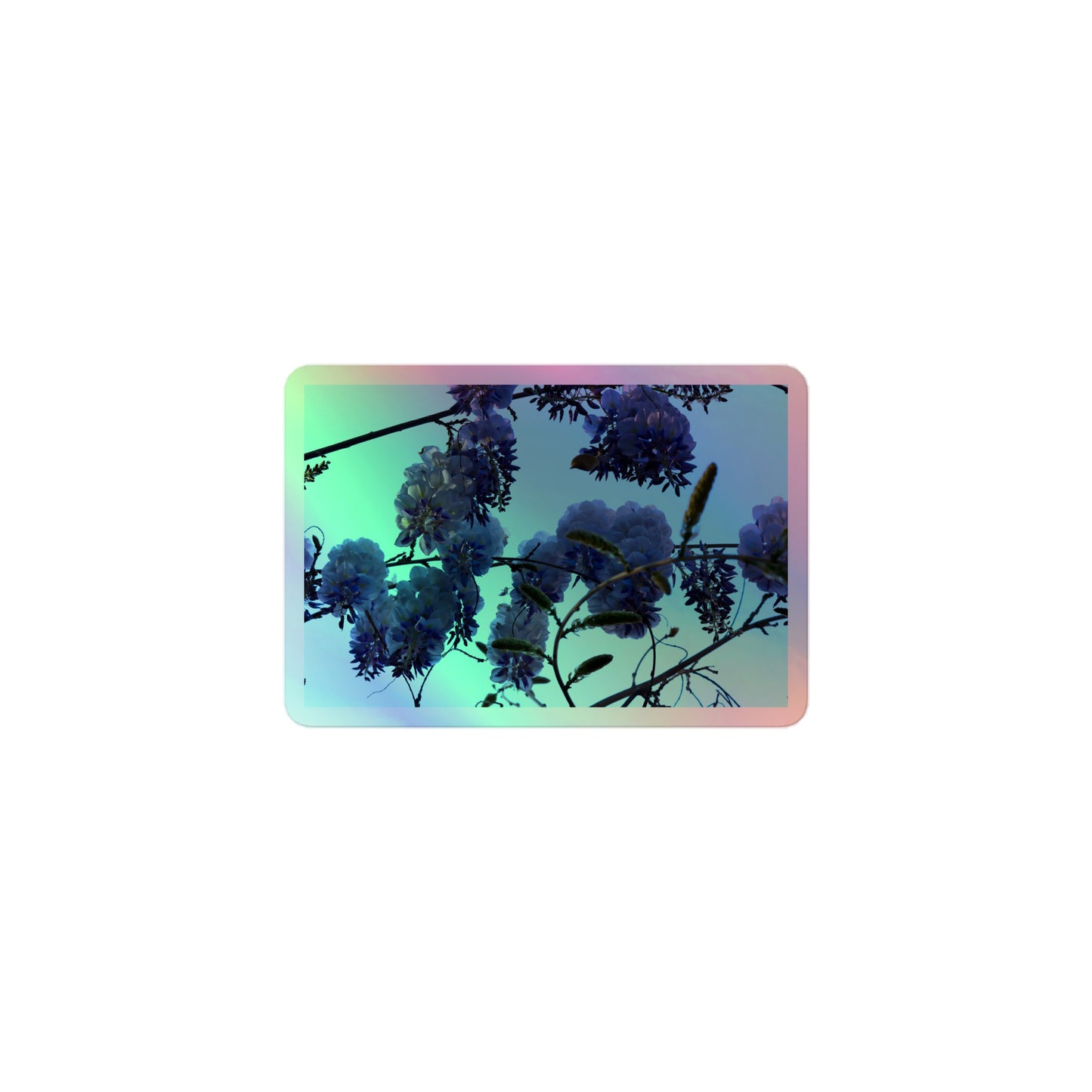 A small rectangular holographic sticker with an image of purple wisteria blooms with blue sky in the background.