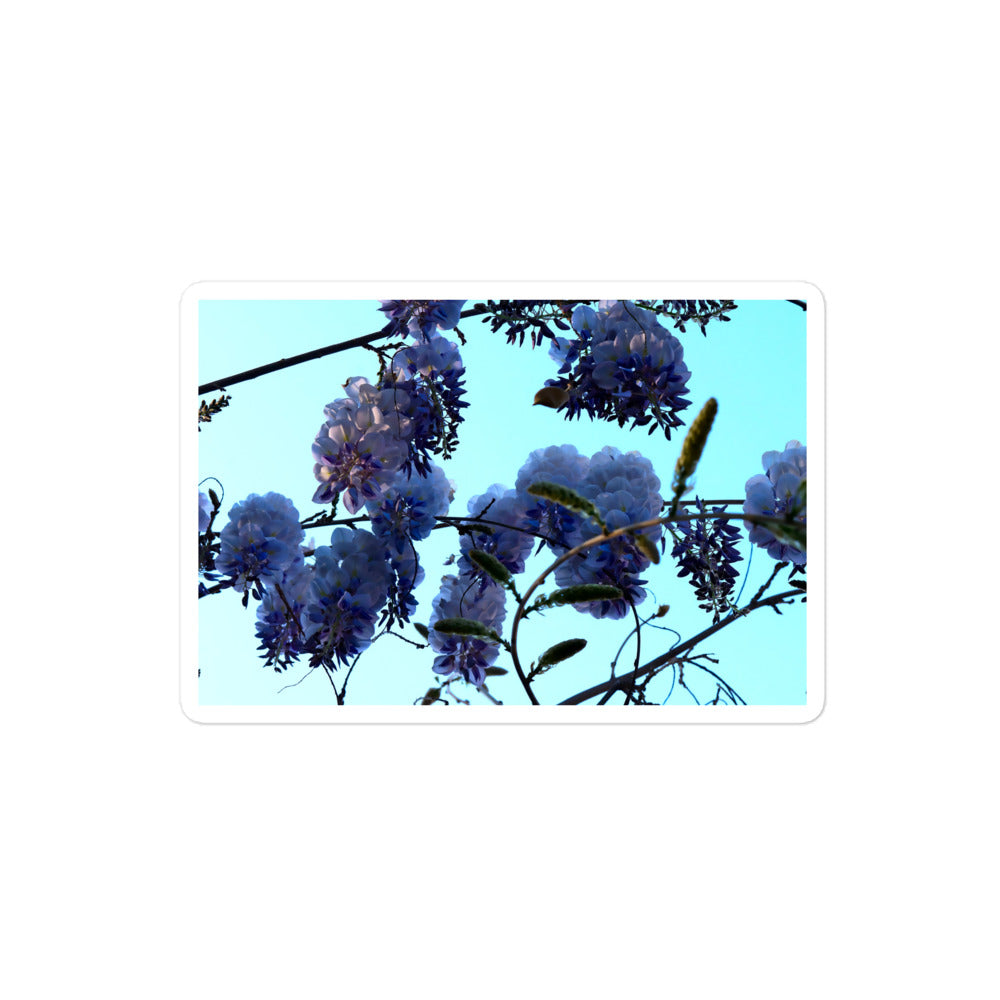 A medium rectangular vinyl sticker with an image of a blue sky and purple wisteria blooms.