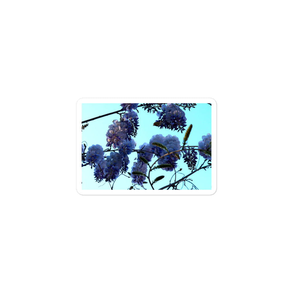A small rectangular vinyl sticker with an image of a blue sky and purple wisteria blooms.