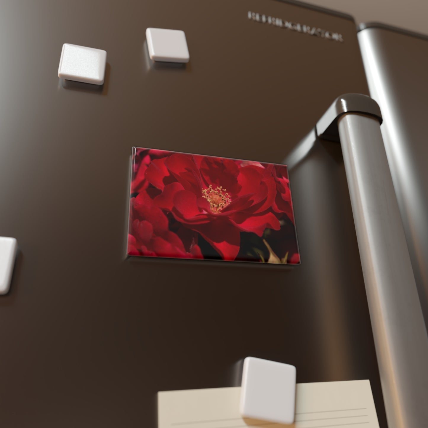 Lifestyle photo of a rectangular button magnet featuring a close-up of a scarlet rose with velvety petals, placed on a fridge.