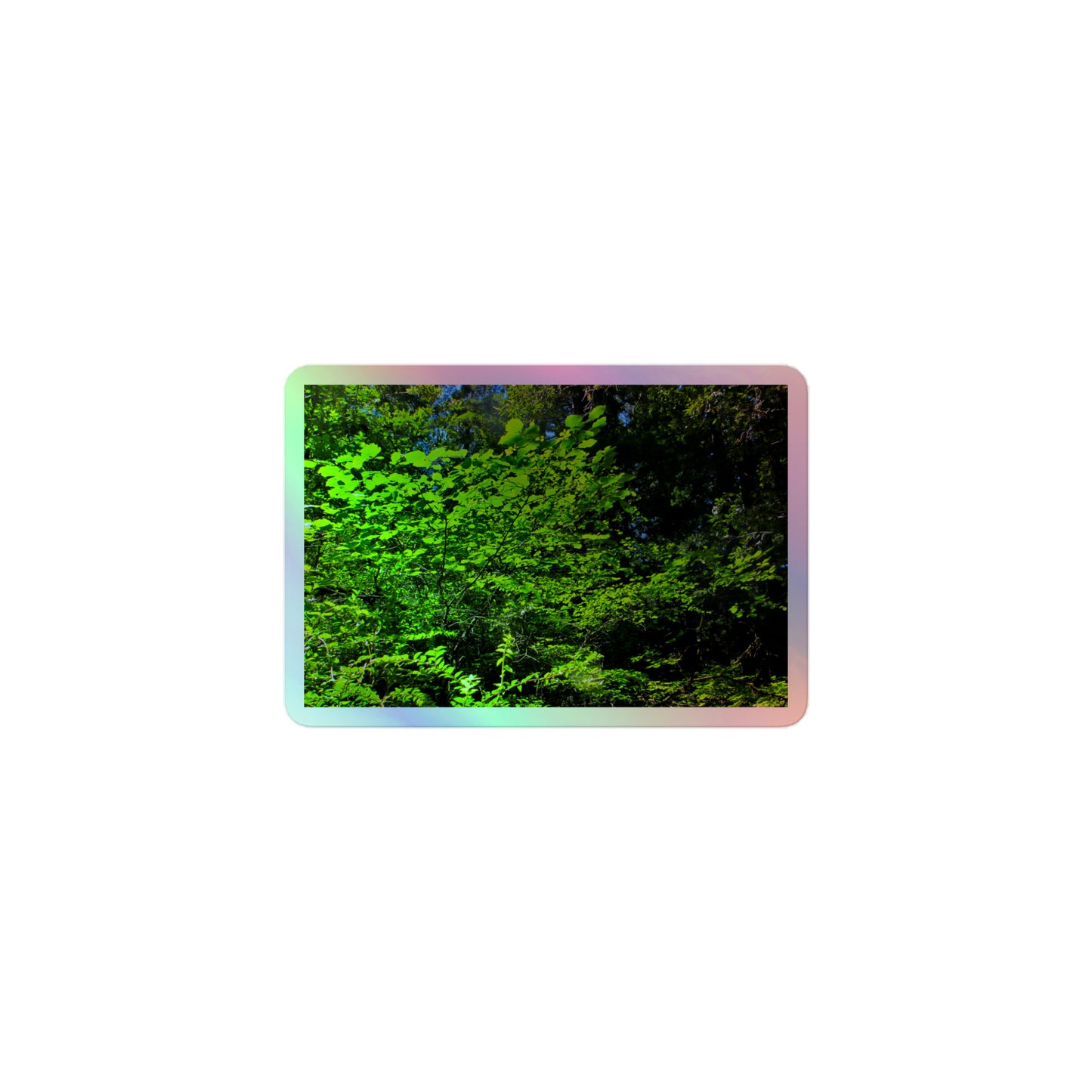 A small rectangular holographic sticker with an image of sunlit, bright green tree leaves.