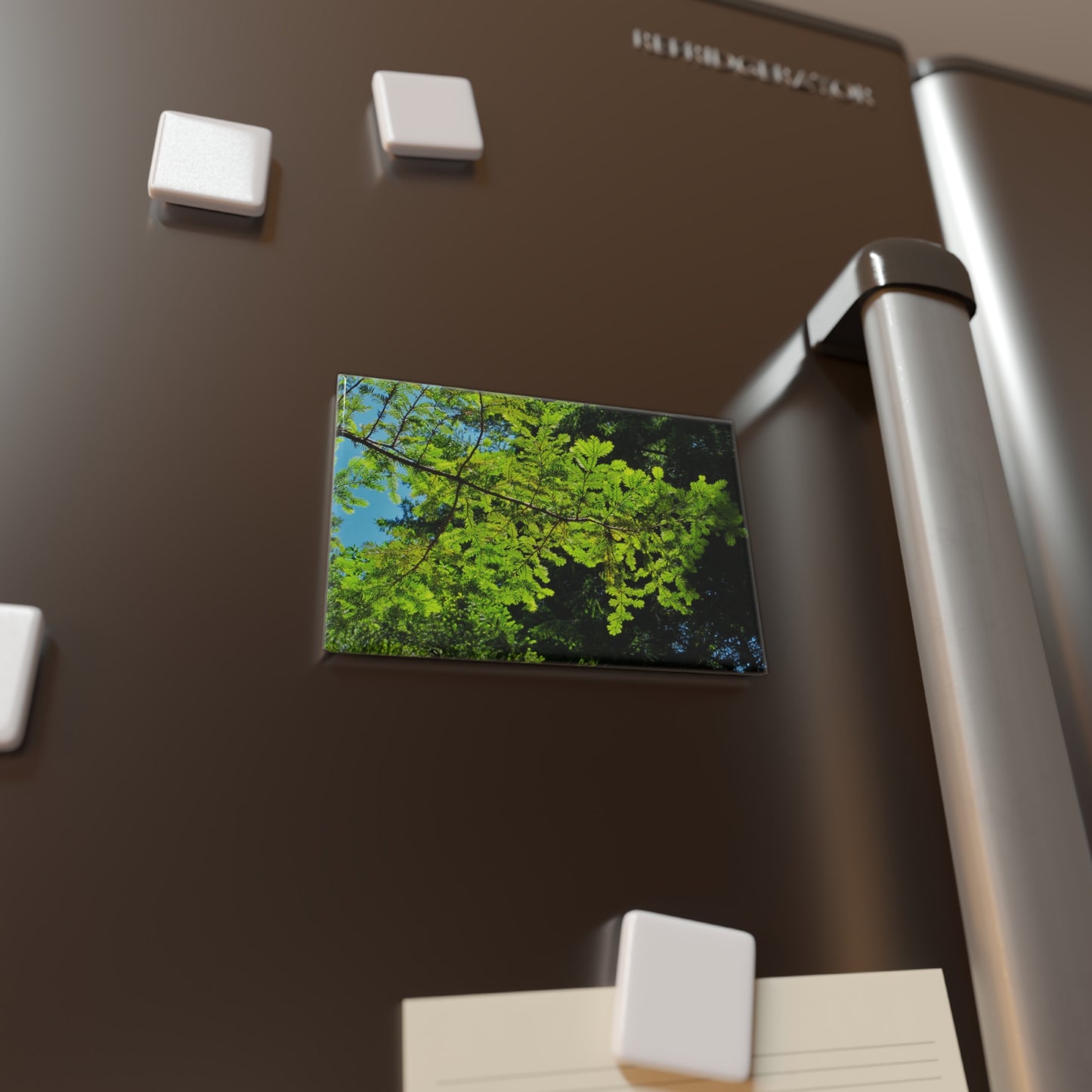 Lifestyle photo of a rectangular button magnet with an image of sunlight filtering through redwood branches, placed on a fridge.