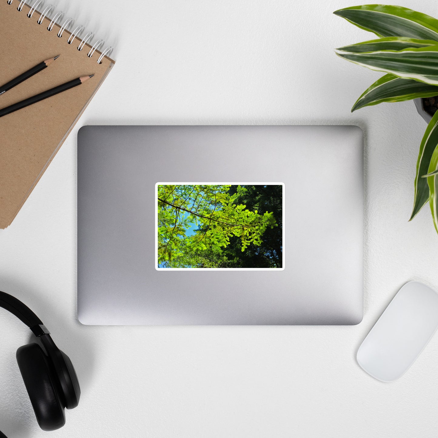 Lifestyle photo of a rectangular vinyl sticker with an image of blue sky and redwood tree leaves, placed on the outside of a laptop.