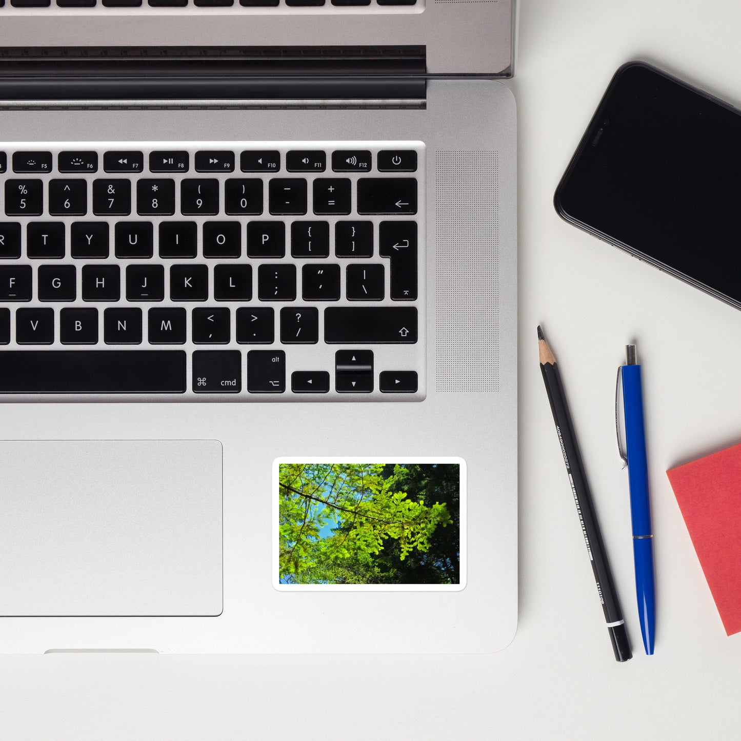 Lifestyle photo of a rectangular vinyl sticker with an image of blue sky and redwood tree leaves, placed on a laptop to the right of the mouse pad.