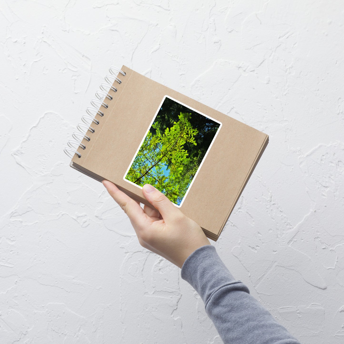 Lifestyle photo of a rectangular vinyl sticker with an image of blue sky and redwood tree leaves, placed on a small notepad.