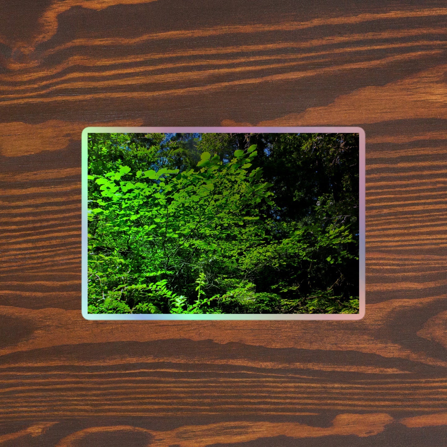 Lifestyle photo of a rectangular holographic sticker with an image of sunlit, bright green tree leaves, placed on a brown wooden table surface.