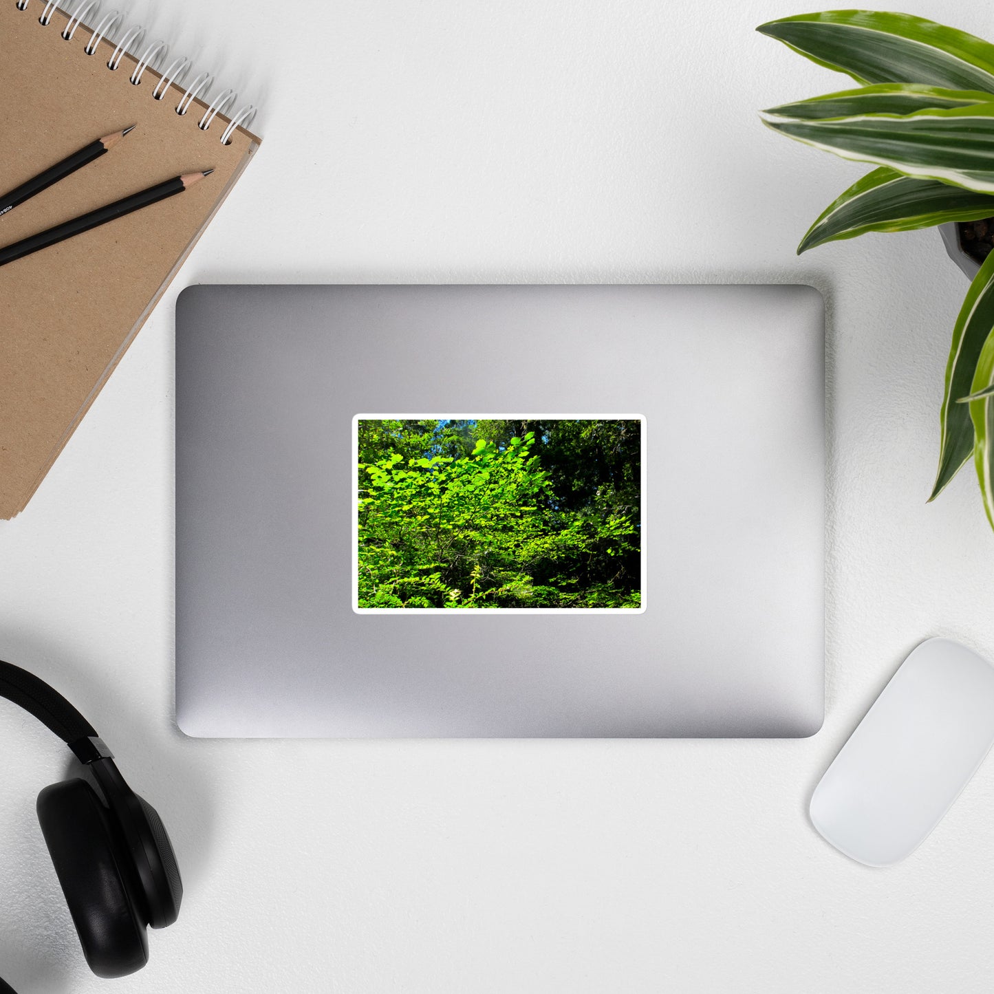 Lifestyle photo of a rectangular vinyl sticker with an image of backlit bright green tree leaves, placed on the outside of a laptop.