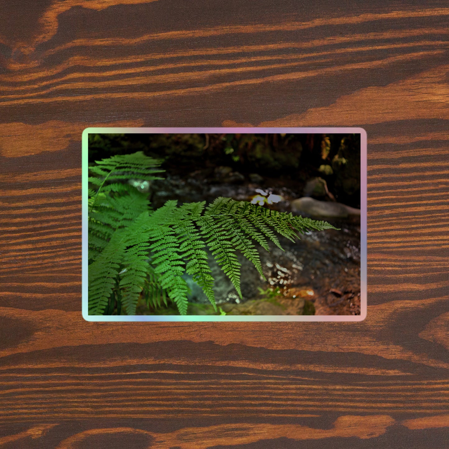 Lifestyle photo of a rectangular holographic sticker with an image of a bright green fern with a forest creek in the background, placed on a brown wooden table surface.