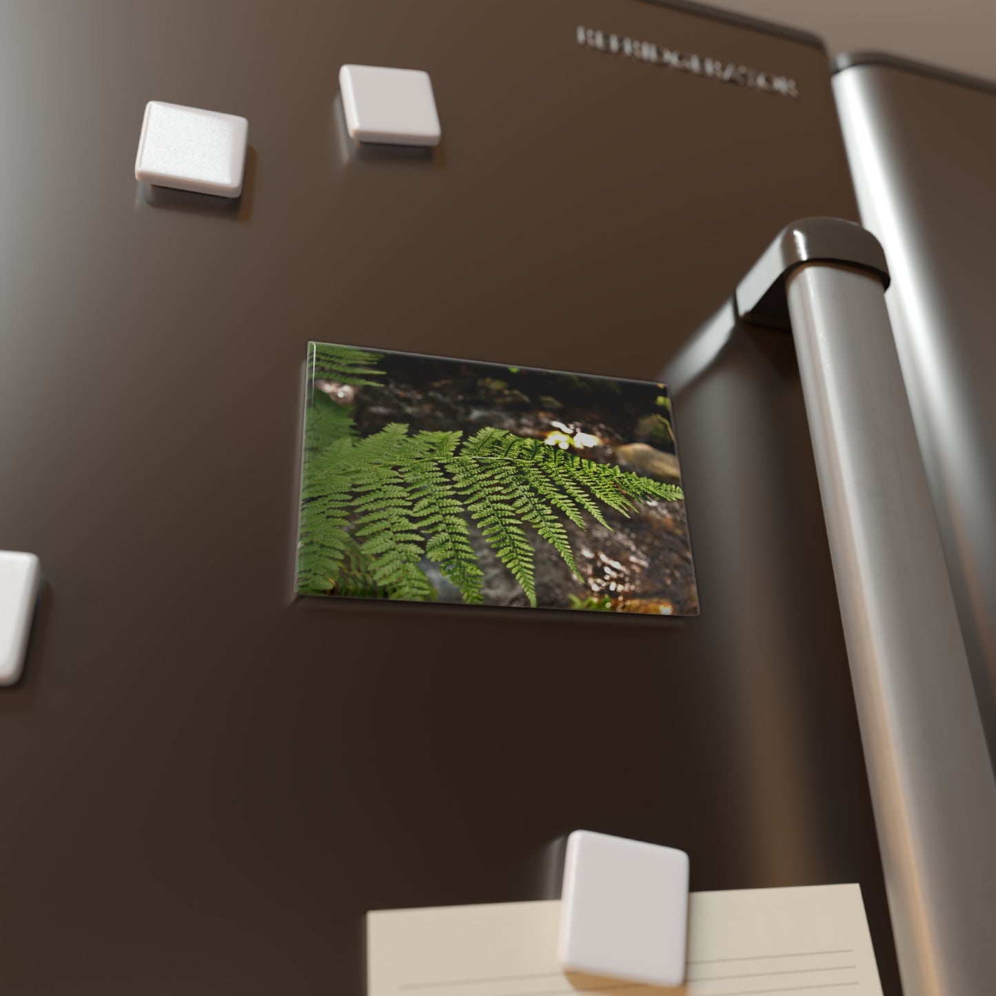 Lifestyle photo of a rectangular button magnet featuring a close-up image of a green fern leaf with a blurred creek in the background, placed on a fridge.
