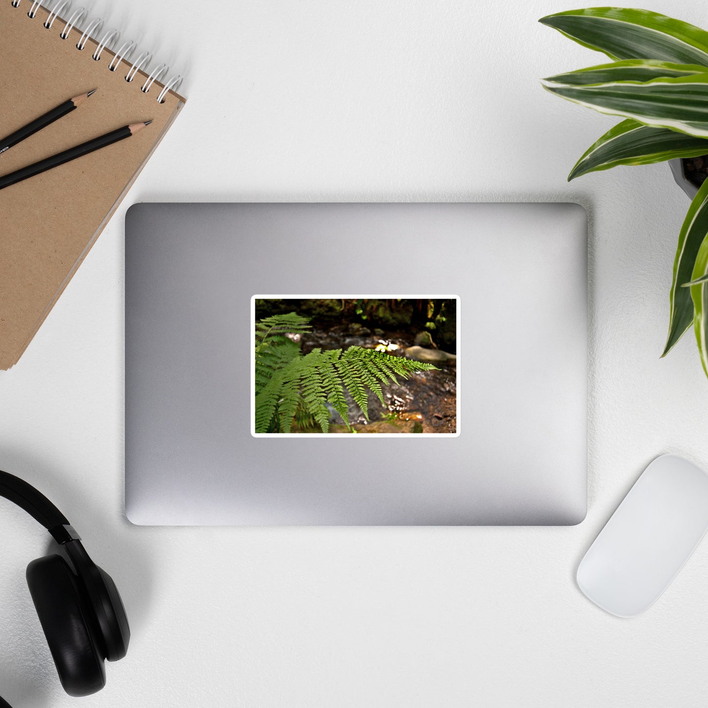 Lifestyle photo of a rectangular vinyl sticker with an image of a fern in front of a forest creek, placed on the outside of a laptop.