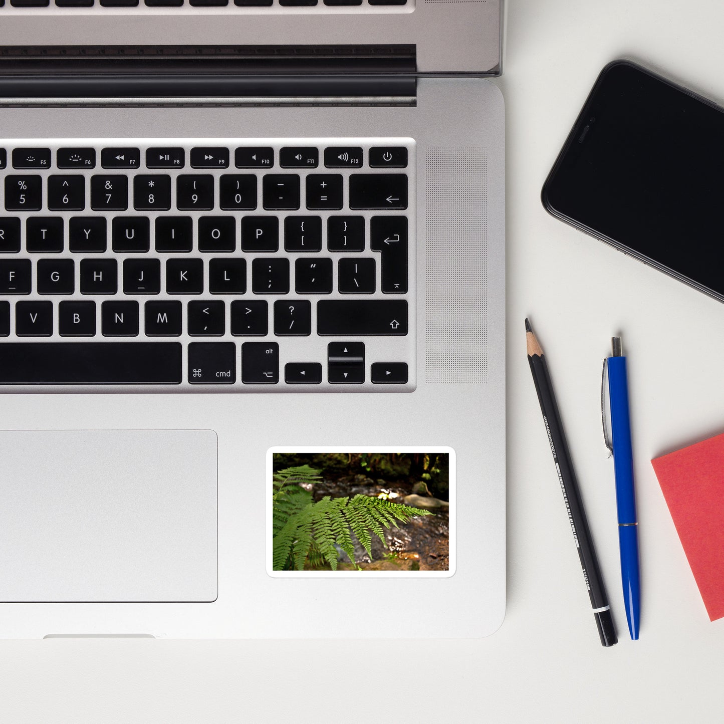 Lifestyle photo of a rectangular vinyl sticker with an image of a fern in front of a forest creek, placed on a laptop to the right of the mouse pad.