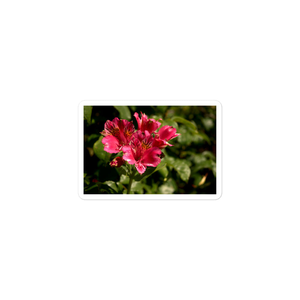 A small rectangular vinyl sticker with an image of a pink lily blooms with yellow accents.