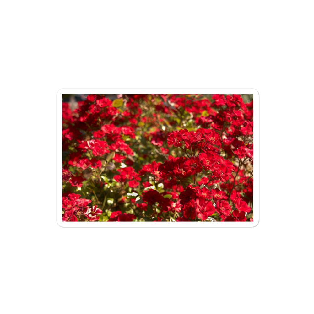 A medium rectangular vinyl sticker with an image of a bush of bright red flowers.