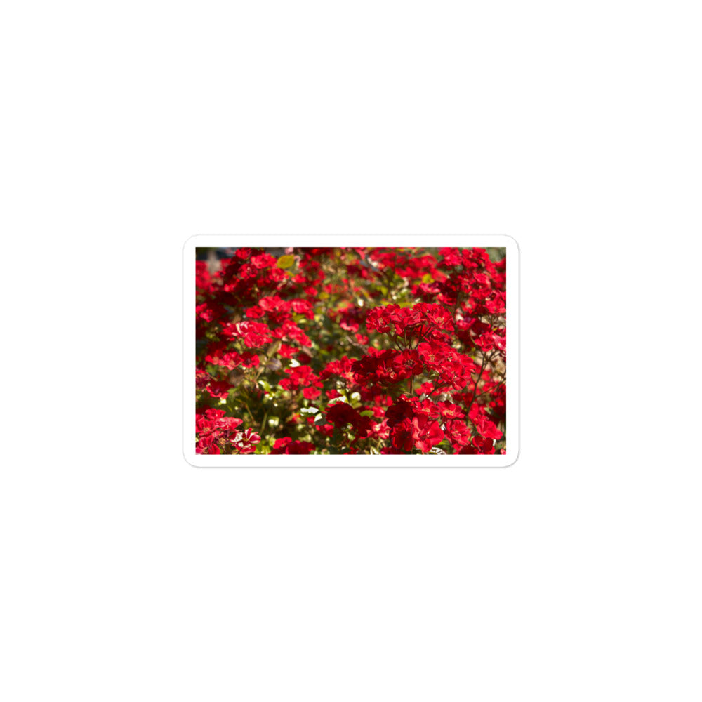 A small rectangular vinyl sticker with an image of a bush of bright red flowers.