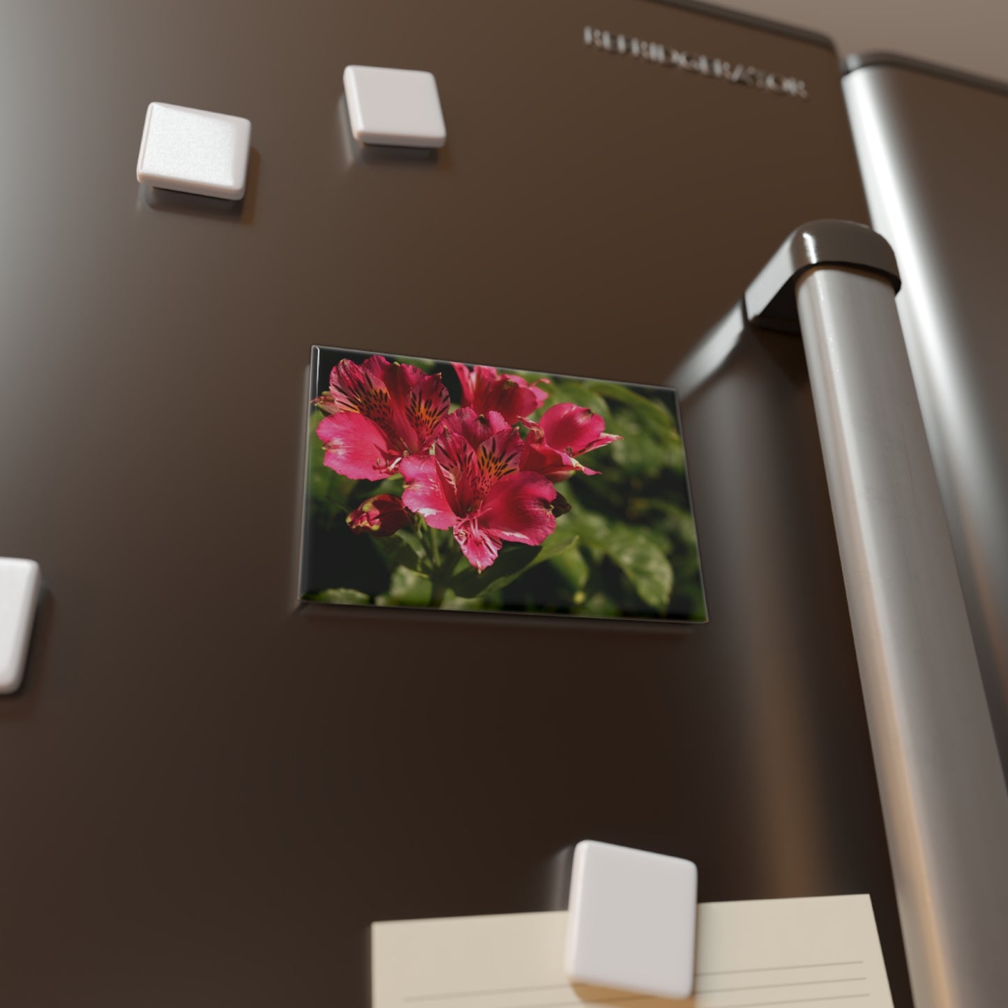 Lifestyle photo of a rectangular button magnet featuring a close-up of a cluster of vibrant pink and yellow Peruvian lilies, placed on a fridge.