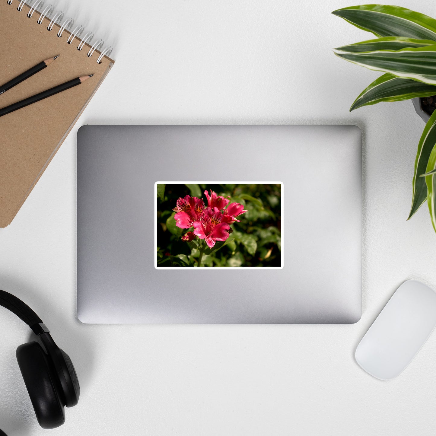 Lifestyle photo of a rectangular vinyl sticker with an image of a pink lily blooms with yellow accents, placed on the outside of a laptop.