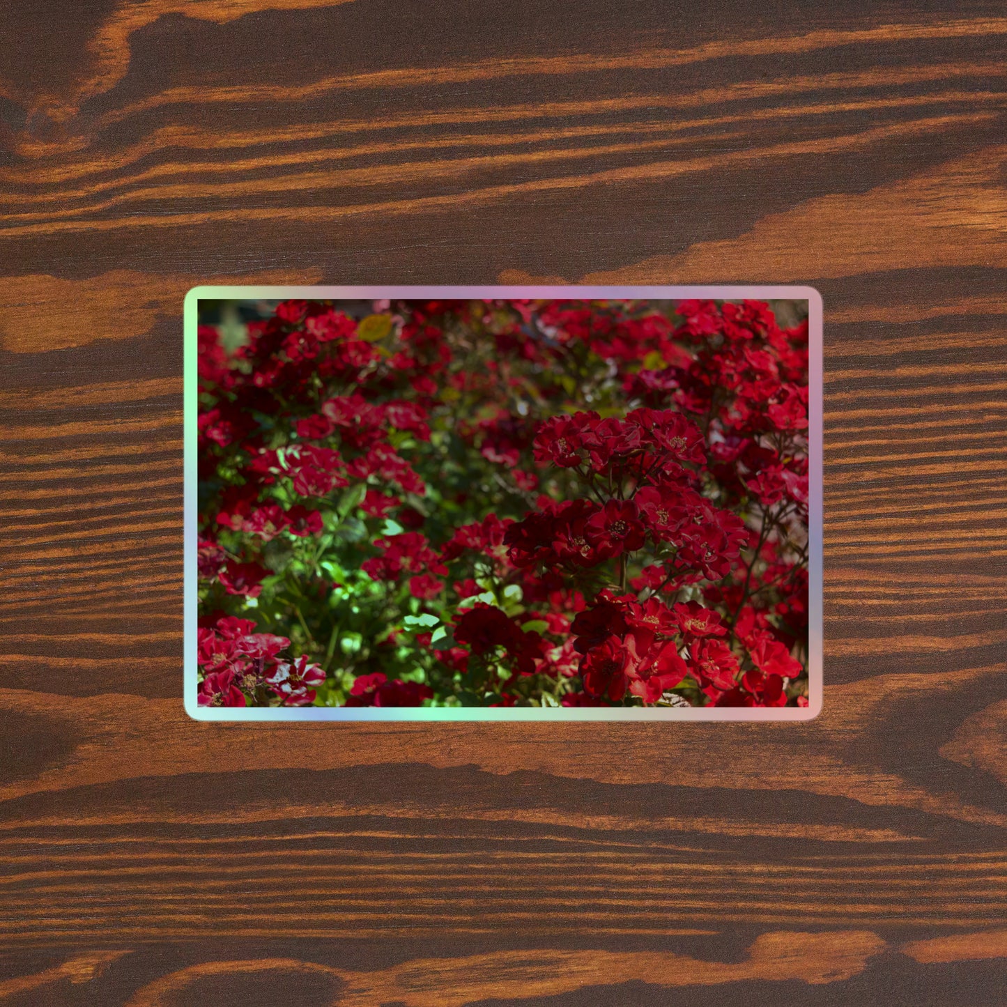 Lifestyle photo of a rectangular holographic sticker with an image of many small, bright red flowers, placed on a brown wooden table surface.