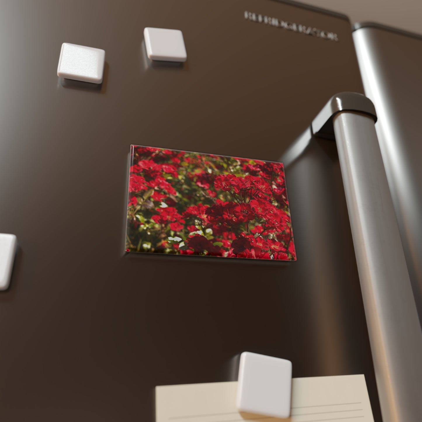 Lifestyle photo of a rectangular button magnet with an image of vibrant scarlet rose bushes, placed on a fridge.