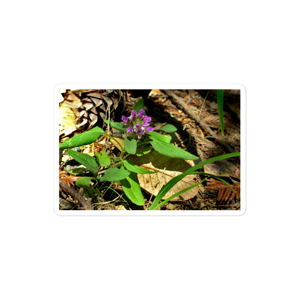 A medium rectangular vinyl sticker with an image of a purple wild flower in a forest floor.