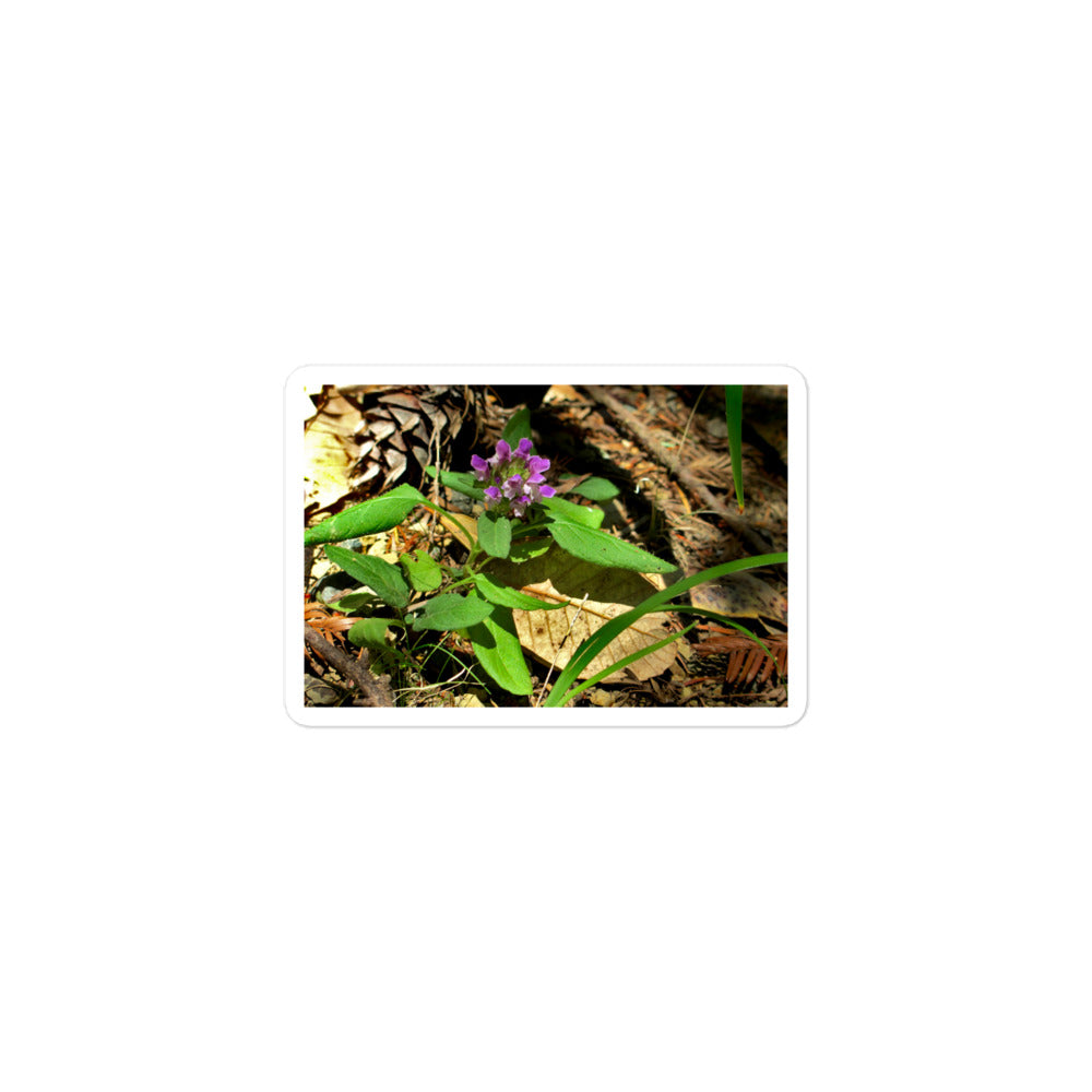 A small rectangular vinyl sticker with an image of a purple wild flower in a forest floor.